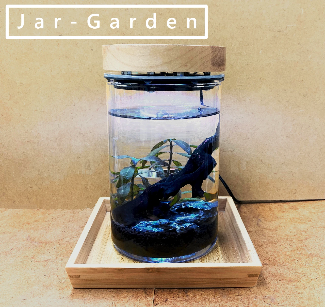 植物育成LED付インテリアグッズ-Jar-Garden